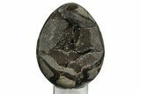 5.6" Septarian "Dragon Egg" Geode - Black Crystals - #202547-1